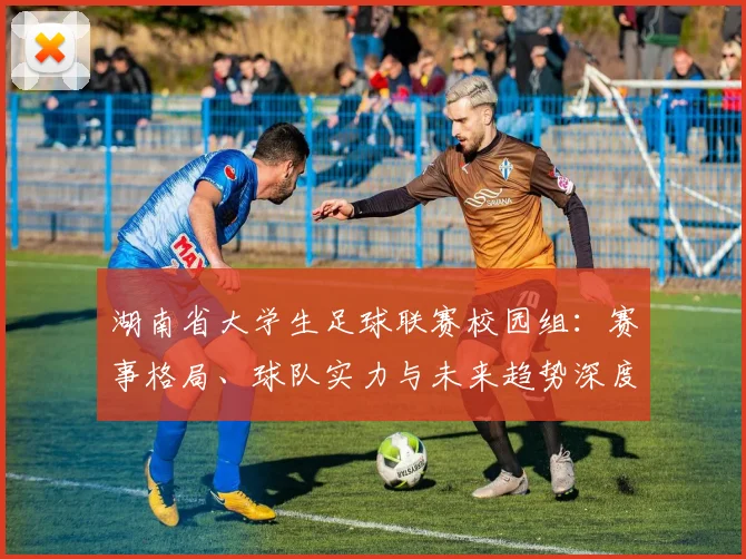 湖南省大学生足球联赛校园组：赛事格局、球队实力与未来趋势深度解析
